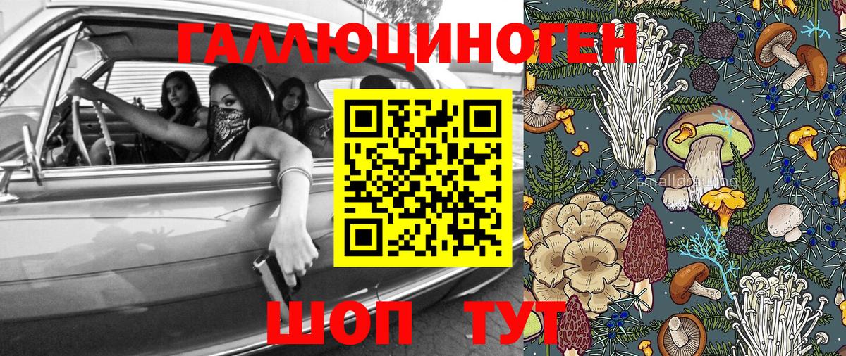 Галлюциногенные грибы мицелий Большой Камень