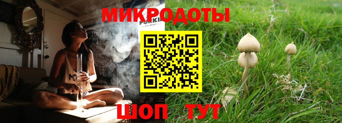Псилоцибиновые грибы мицелий  Вход с VPN  Большой Камень  Псилоцибиновые грибы мухоморы 